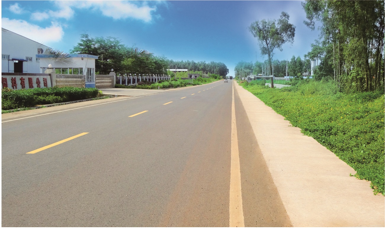 临高金牌疏港公路改造第三标段.jpg